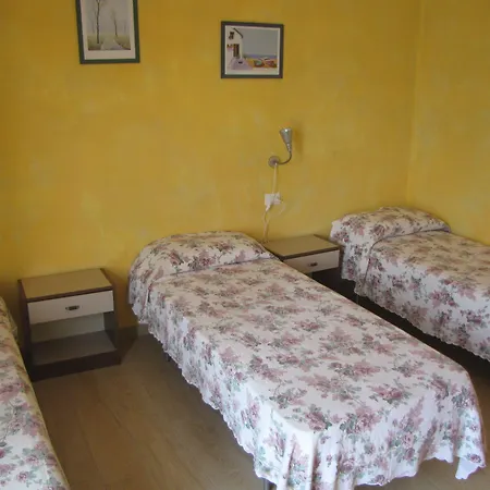Olivo * Campo