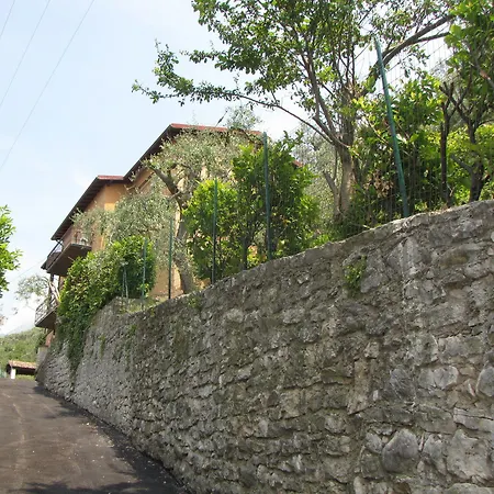 Olivo Hotel *